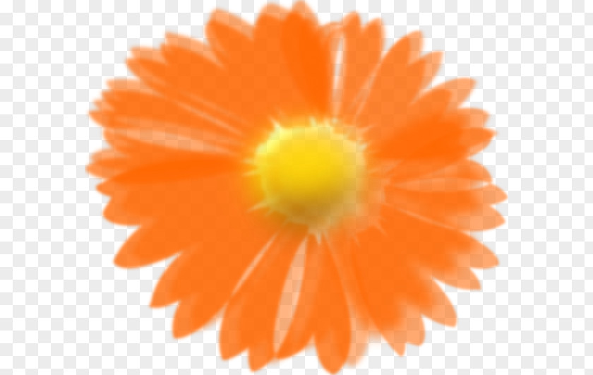 Hawaii Flower Orange Clip Art PNG
