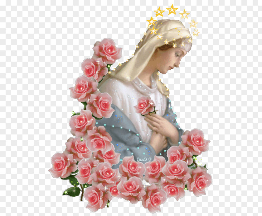 Mary Immaculate Conception Our Lady Mediatrix Of All Graces Ineffabilis Deus Lourdes PNG