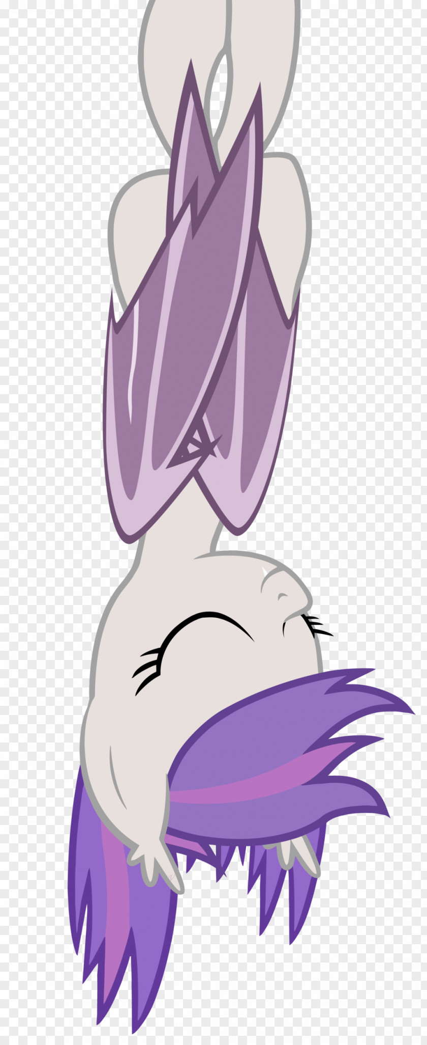 Midnight Pony Twilight Sparkle Rarity Applejack Winged Unicorn PNG
