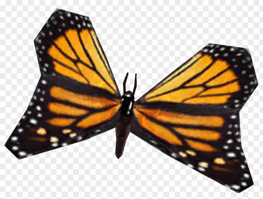 Butterfly Monarch The Elder Scrolls V: Skyrim Pieridae Insect PNG
