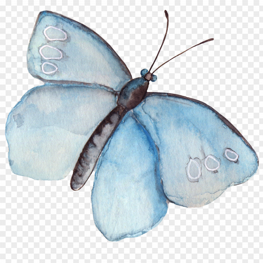 Butterfly Watercolor Painting Clip Art PNG