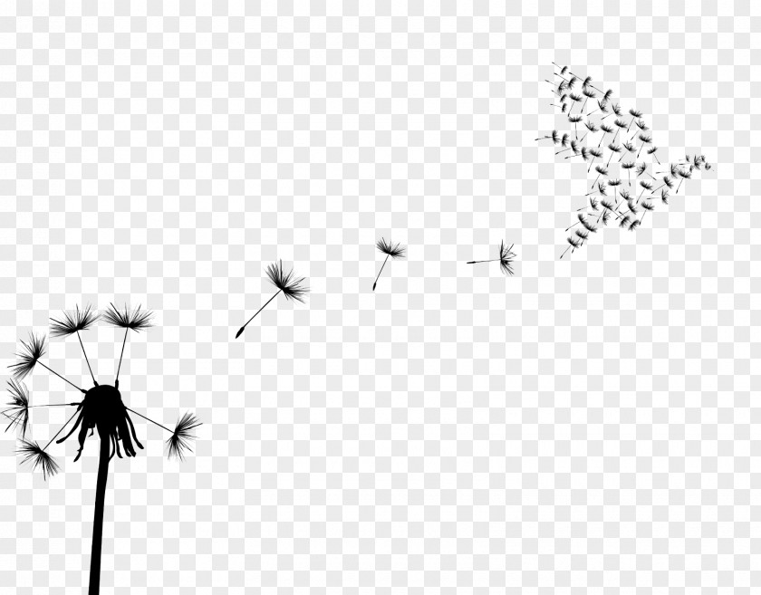Flock Of Birds Bird Common Dandelion Clip Art PNG