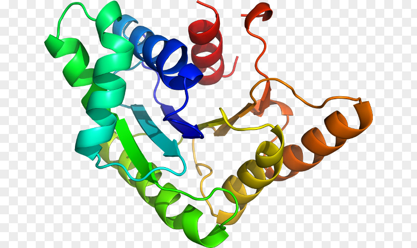 Glucose6phosphate Dehydrogenase Deficiency Drug Discovery Protein Tyrosine Phosphatase Estrogen Receptor Homology Modeling PNG