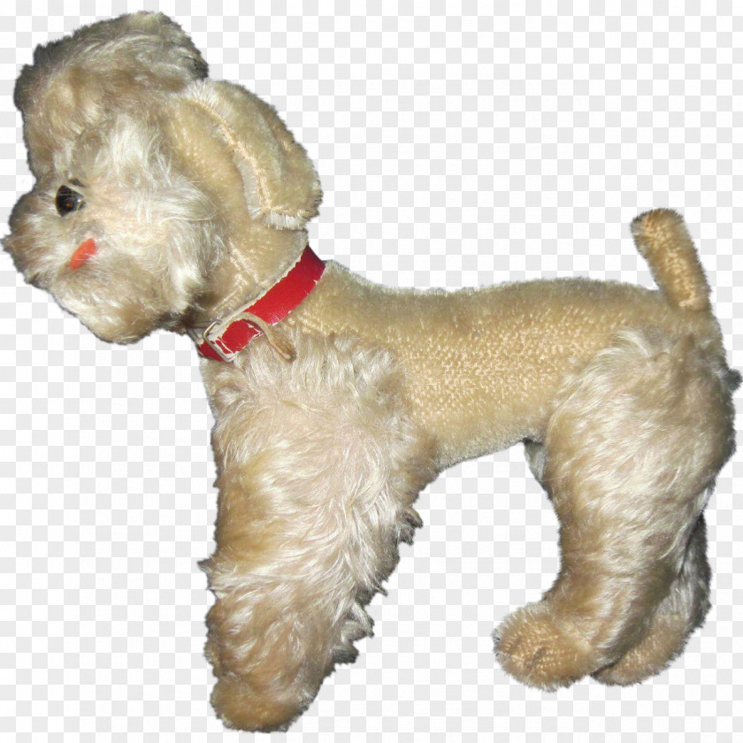 Poodle Miniature Schnoodle Shih Tzu Cockapoo PNG