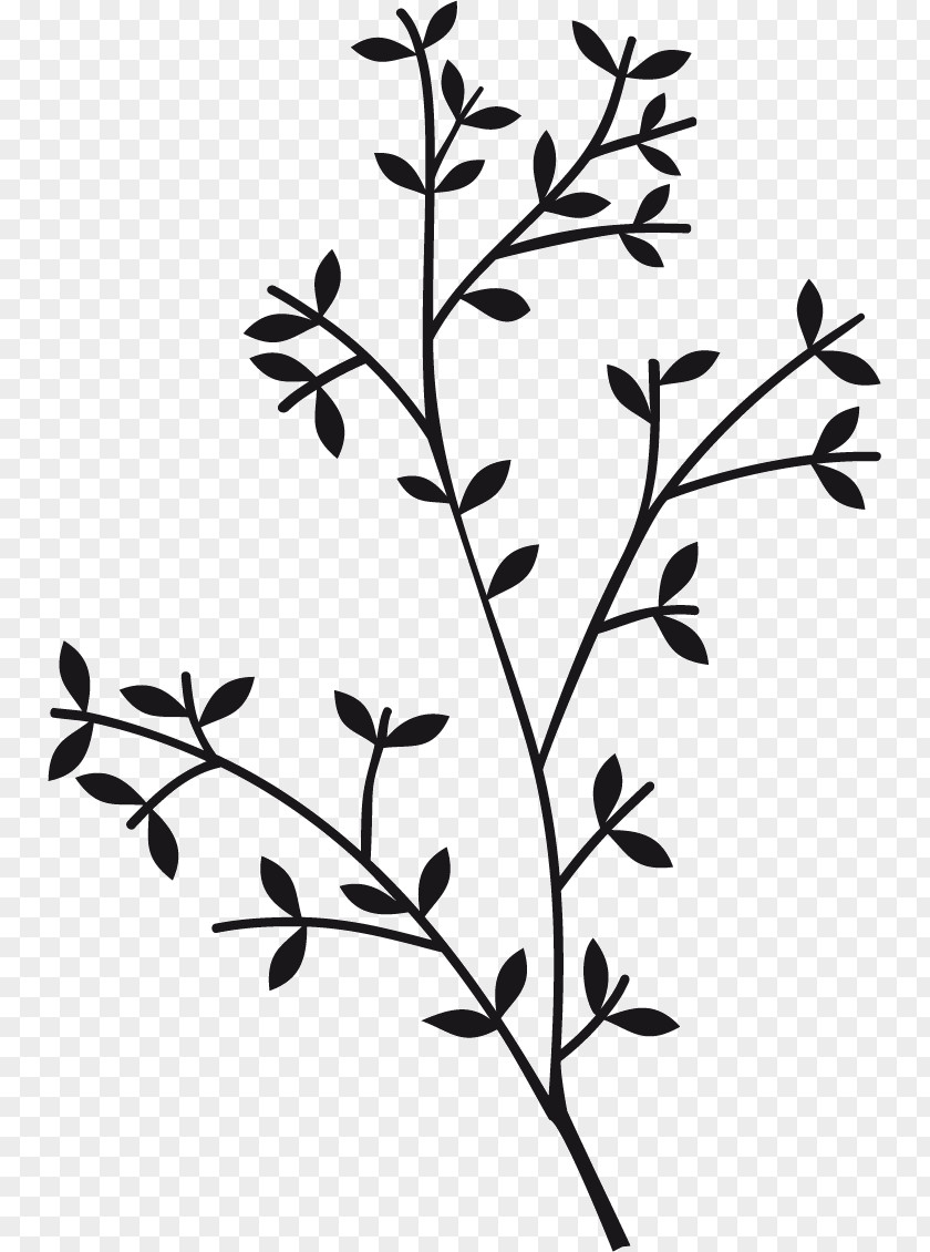 Rama Shinta Twig Plant Stem Leaf Flower Clip Art PNG