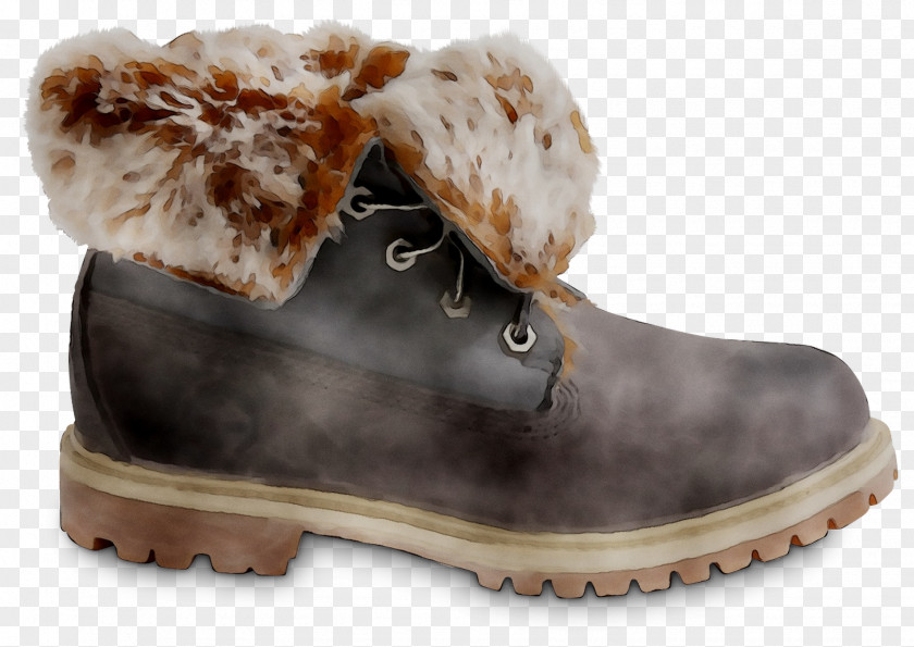 Snow Boot Shoe PNG