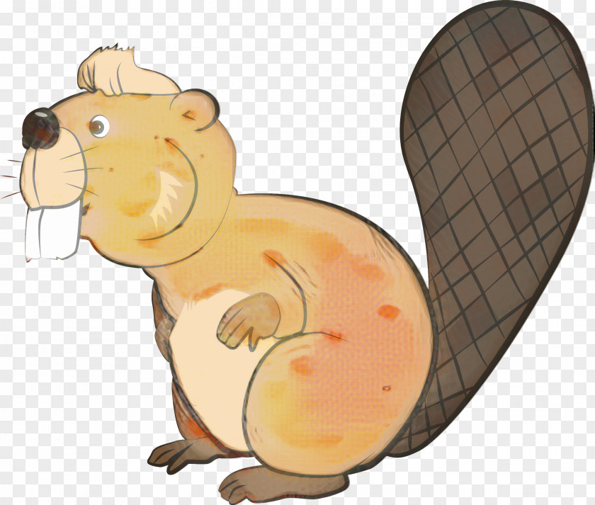 Ferret Squirrel Beaver Cartoon PNG