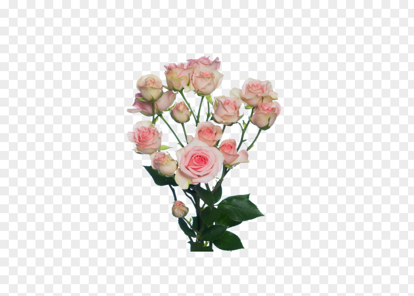 Flower Yekaterinburg Garden Roses Bouquet Floral Design PNG