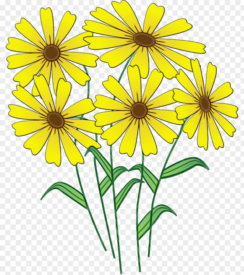 Flower Yellow Plant Petal Wildflower PNG