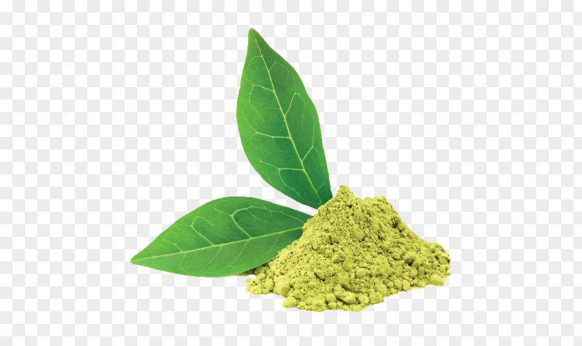 Green Tea Ice Cream Latte Matcha PNG