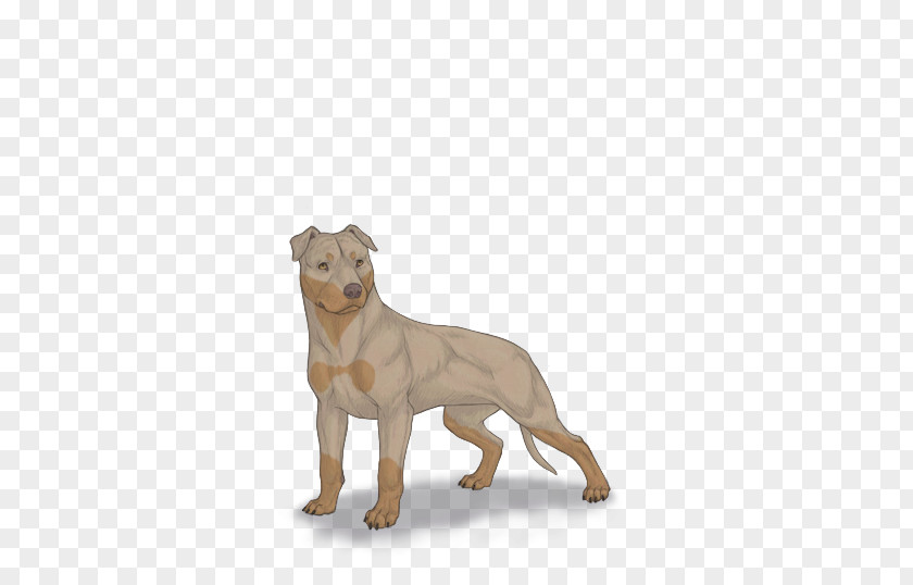 Pit Bull Dog Breed Puppy Snout PNG
