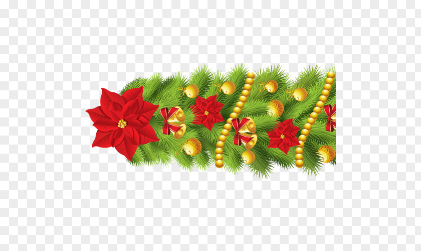 Plant Christmas Tree Ornament Fir Spruce PNG