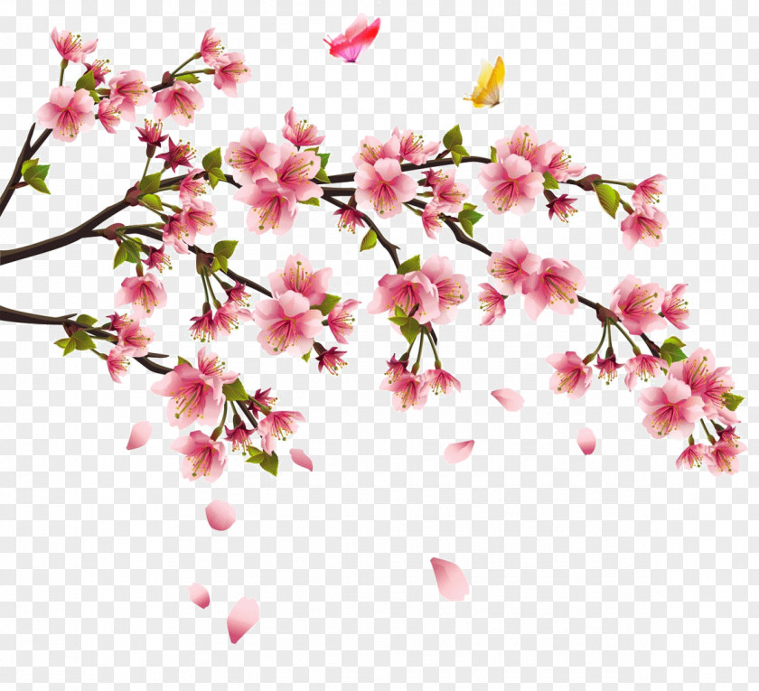 China Cherry Blossom Tattoo Flower PNG