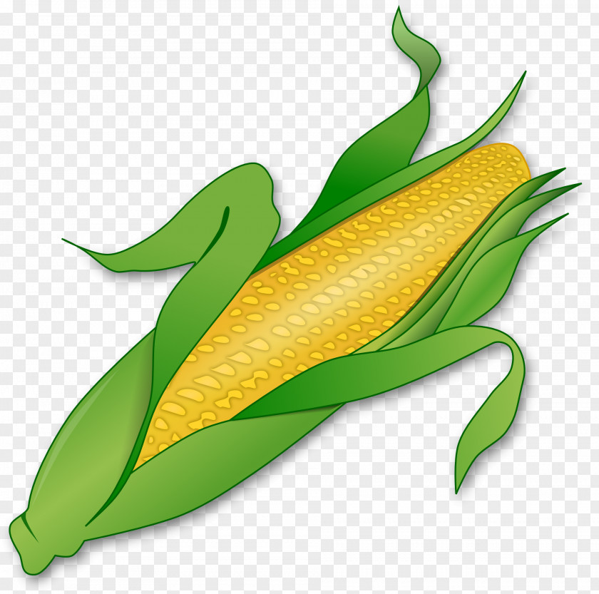 Corn On The Cob Maize Sweet Clip Art PNG