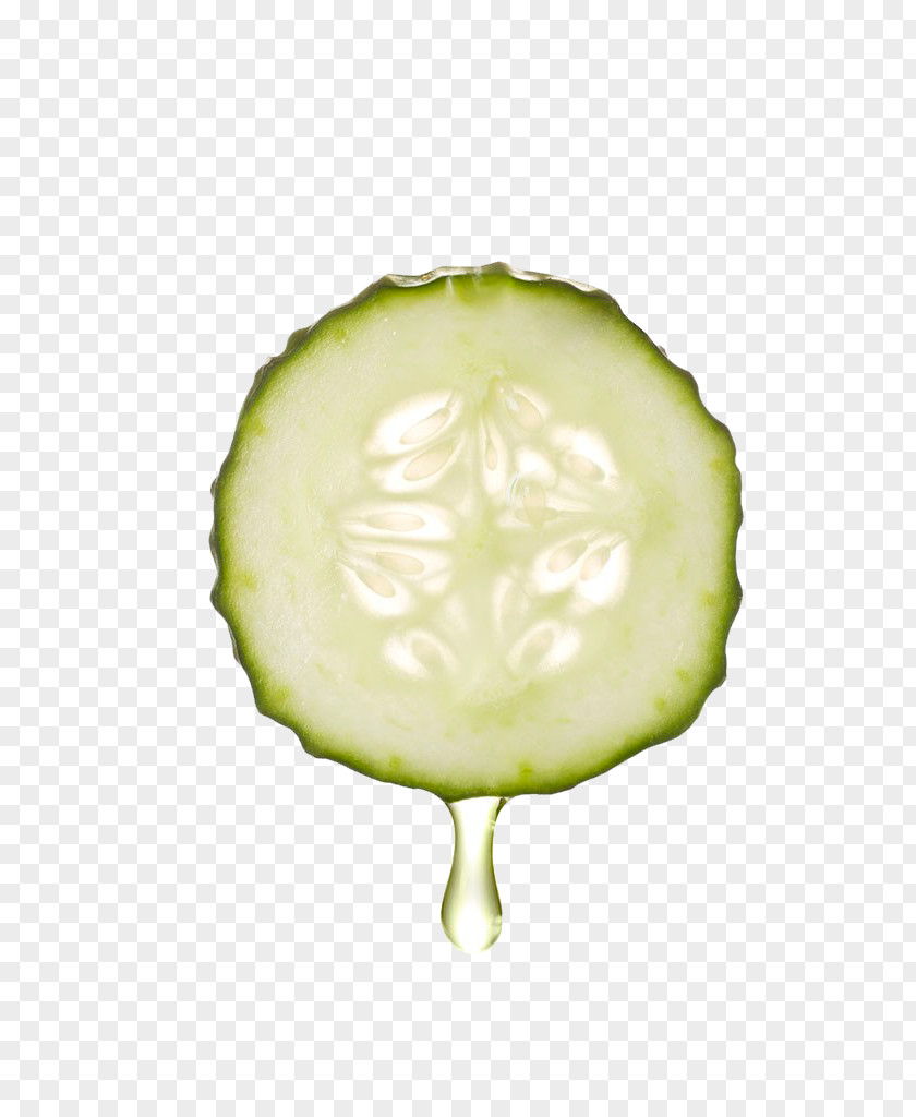 Cucumber Key Lime Melon PNG