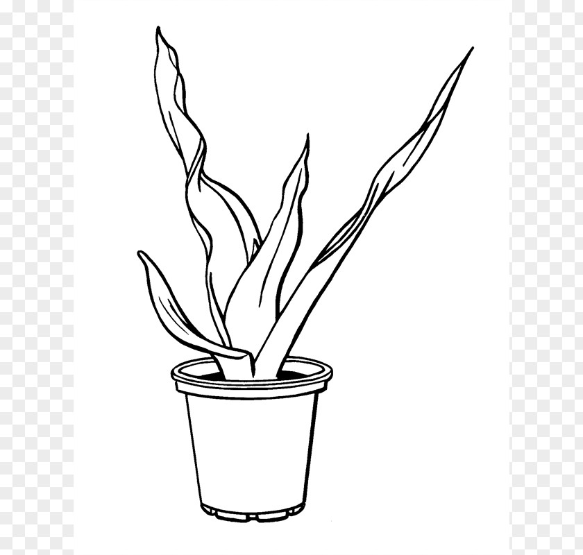 Flower Twig Flowerpot Plant Stem Clip Art PNG