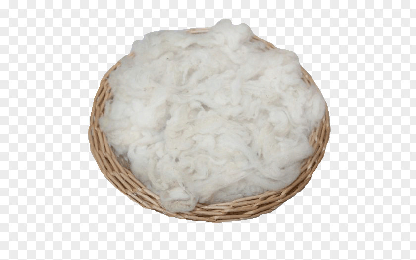 Sheep Woolen Lambavill Textile PNG