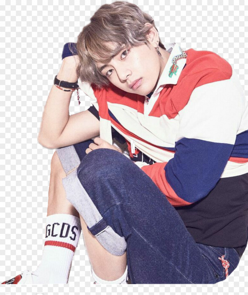 Wings Kim Taehyung Love Yourself: Her BTS Image Concept PNG