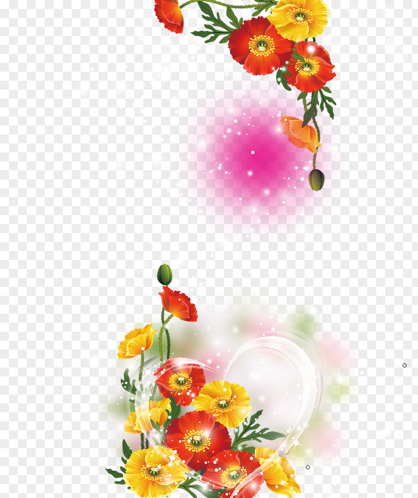 Beautiful Background Petal Flower PNG