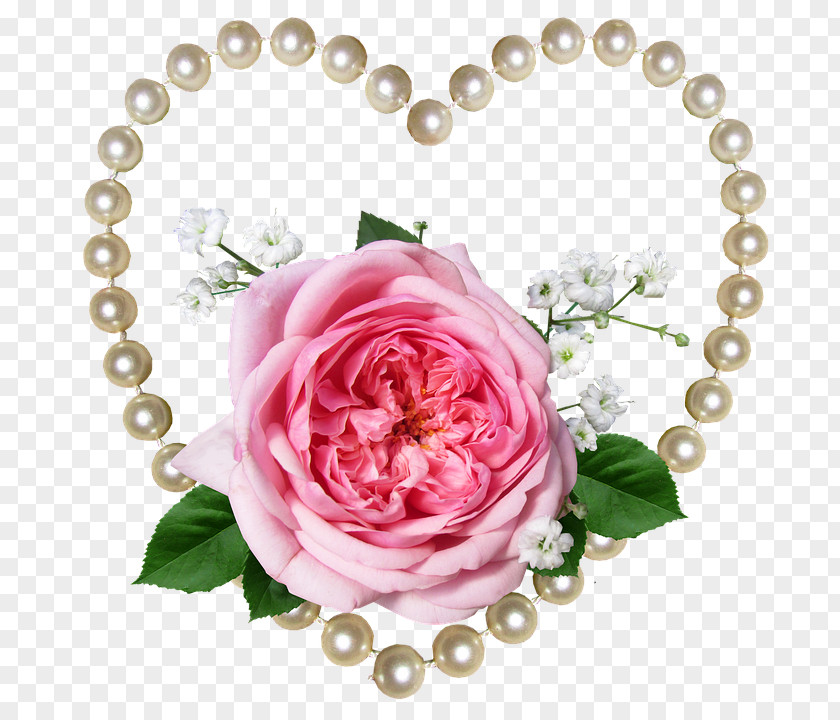 Chain Hybrid Tea Rose Pink Flowers Background PNG