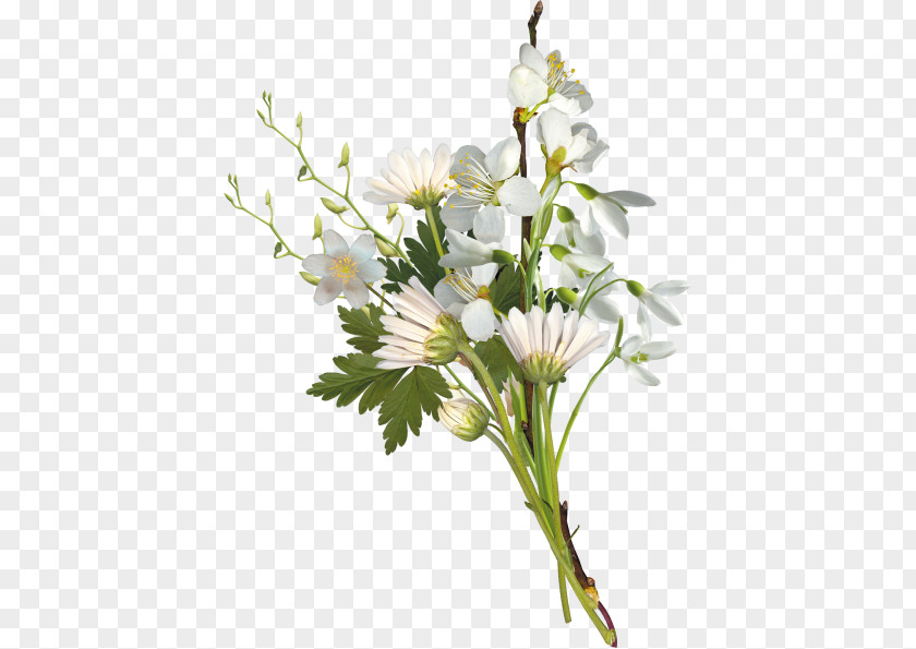 Flowers PNG Flowers,flowers clipart PNG