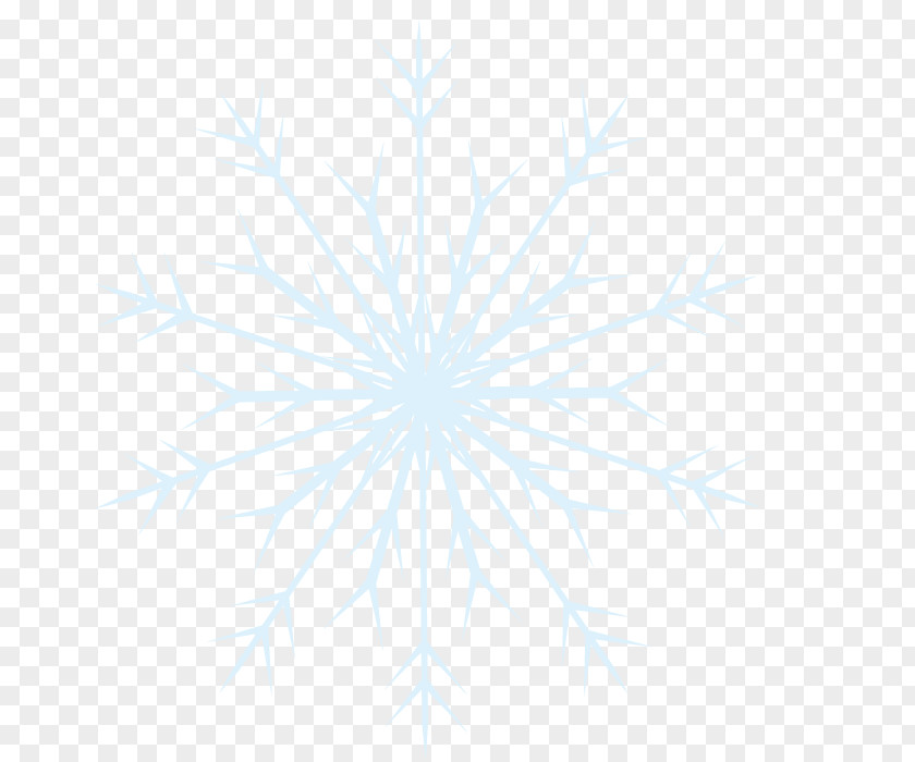 Snowflake Pattern Vector Art Symmetry Sky Angle PNG