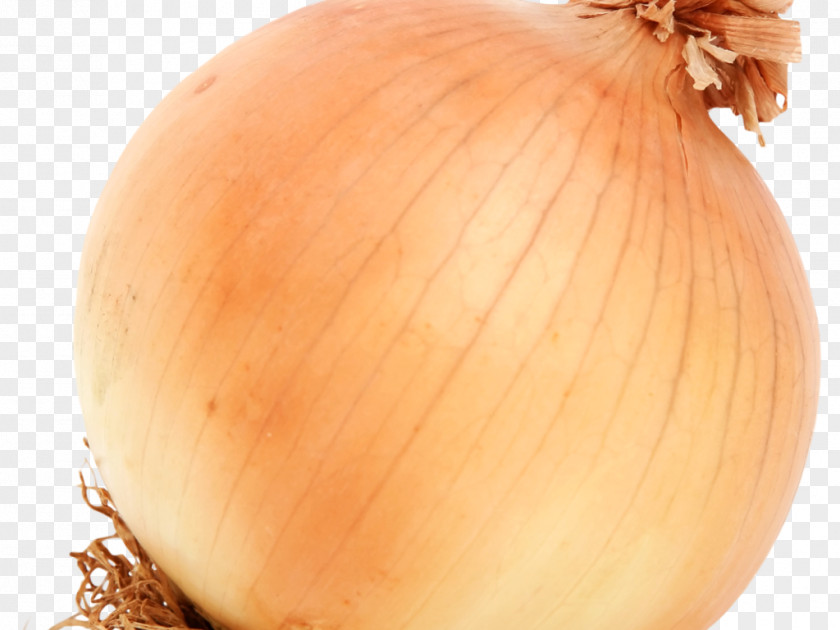 Vegetable Yellow Onion Red Hamburger PNG
