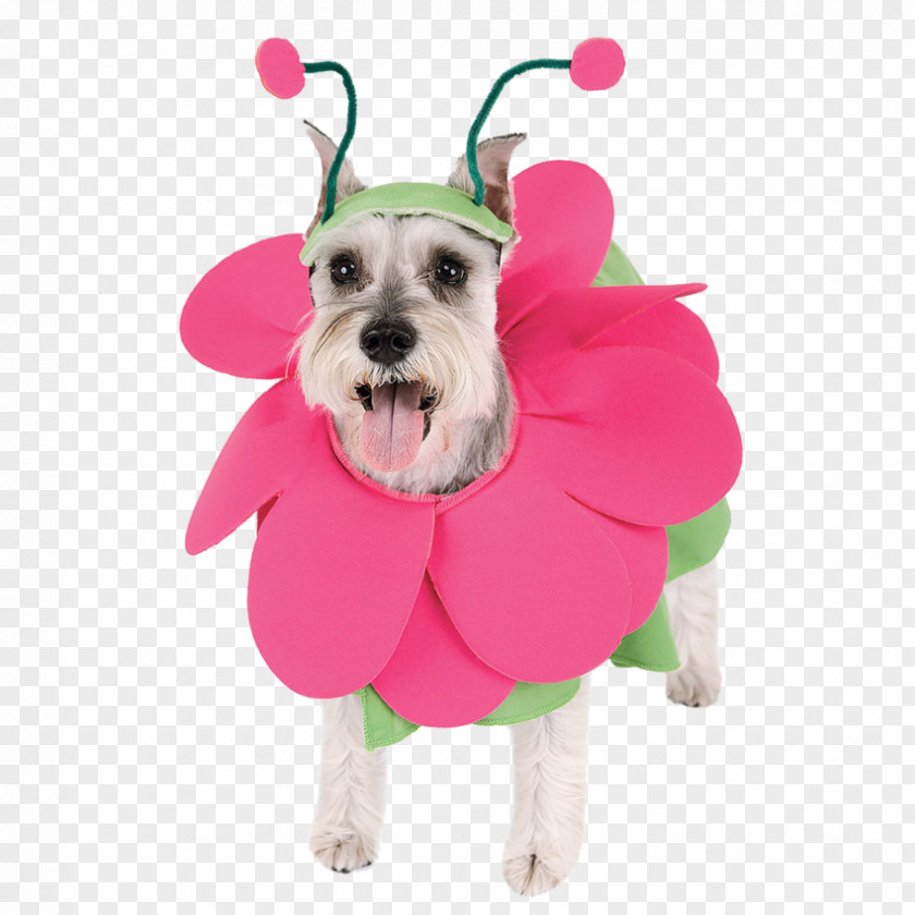 Cute Dog Clothes Pug Puppy Costume Flower Bouquet PNG