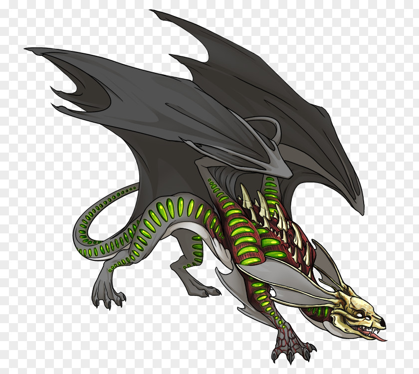 Dragon Dragonite Legendary Creature Here Be Dragons Fantasy PNG