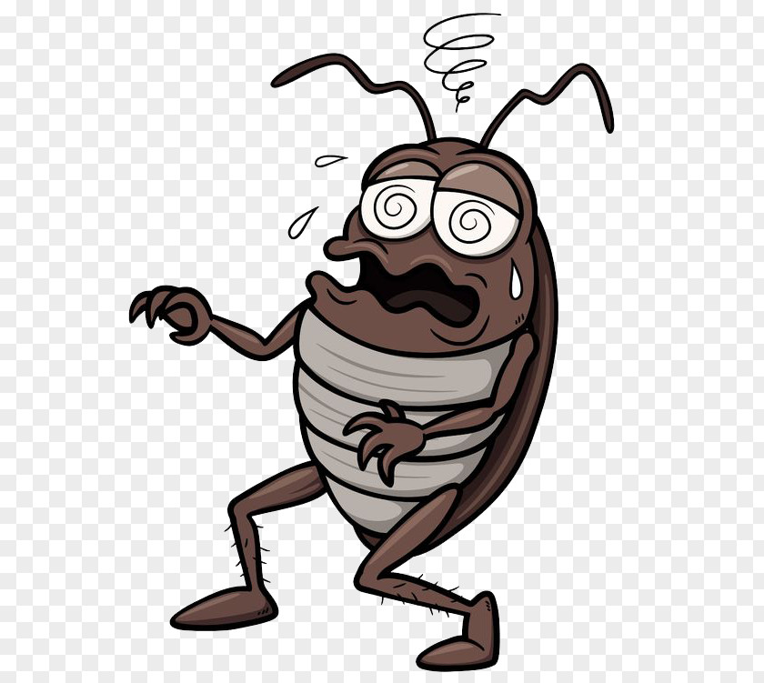 Dung Beetle Cockroach Cartoon Royalty-free Clip Art PNG