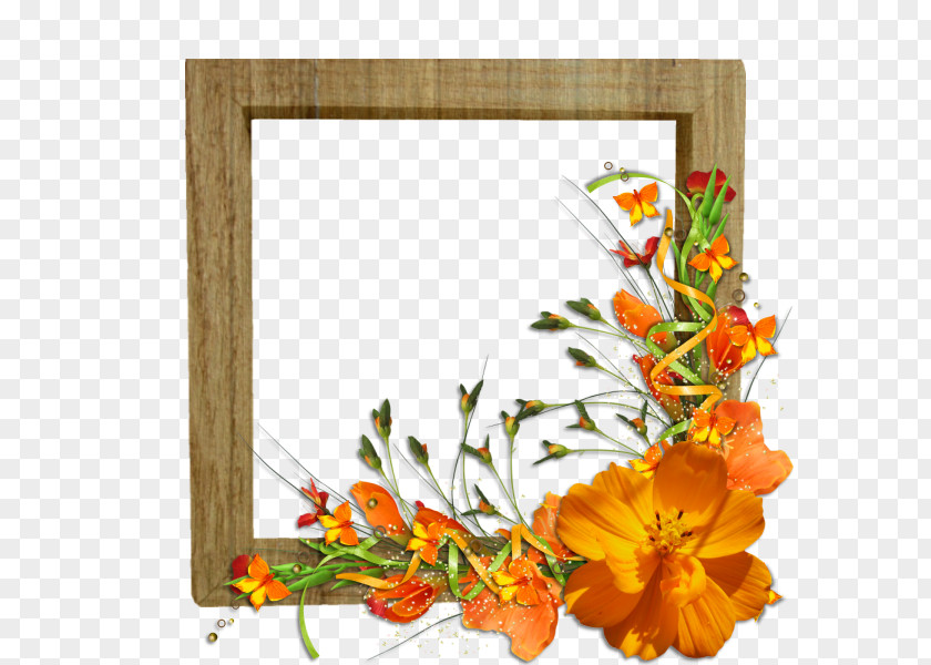 Flower Floral Design Cut Flowers Bouquet Picture Frames PNG