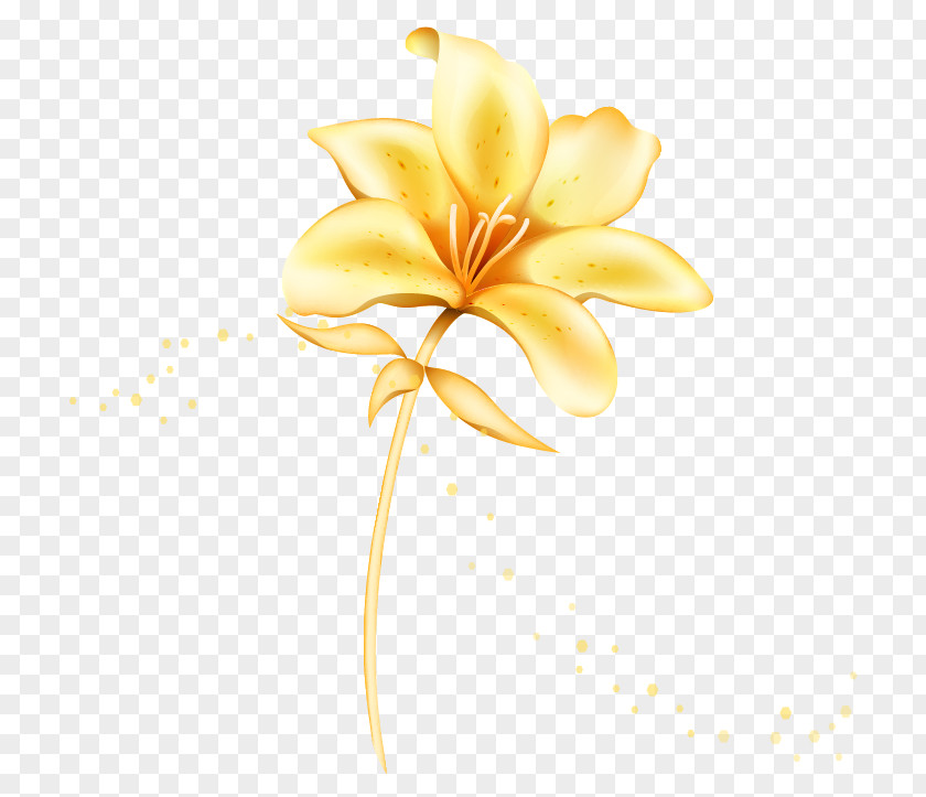 Golden Flowers Flower Euclidean Vector Lilium PNG