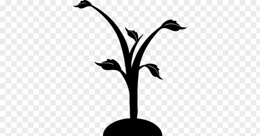 M Clip Art Plant Stem Leaf Twig Black & White PNG