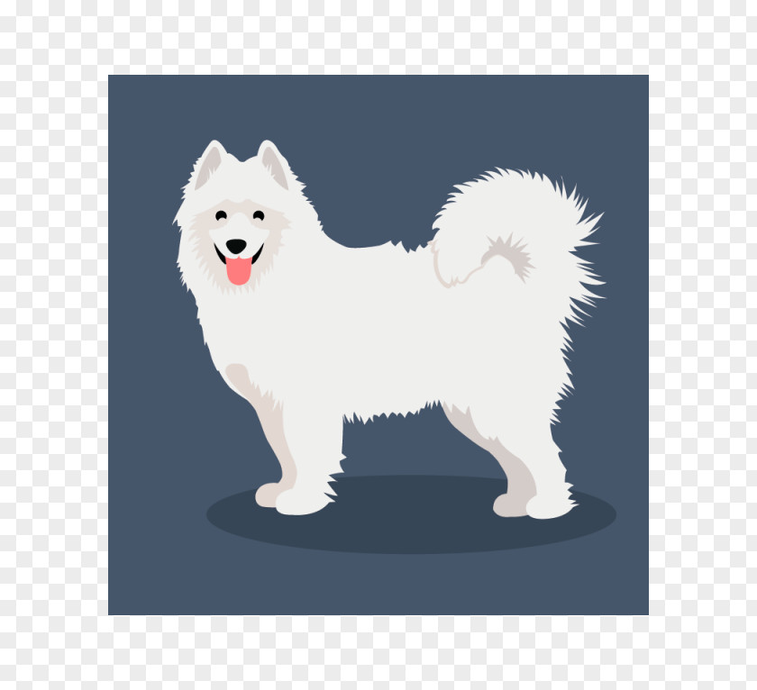 Samoyed Dog German Spitz Klein Mittel American Eskimo Japanese Canadian PNG