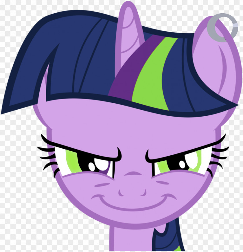 Smile Twilight Sparkle Pinkie Pie Rainbow Dash Rarity Applejack PNG