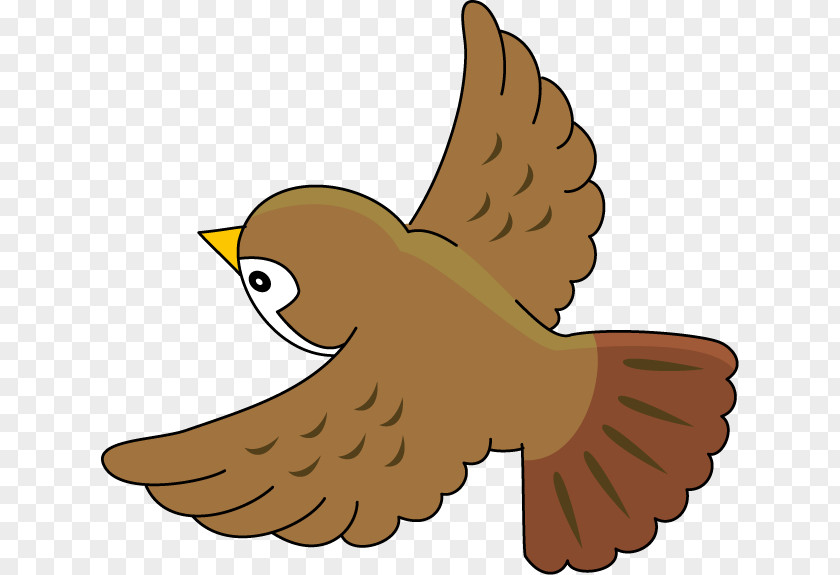 Sparrow Bird House Common Nightingale Clip Art PNG