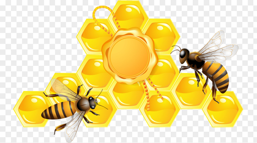 Bees And Honey Bee Vector Graphics Honeycomb PNG