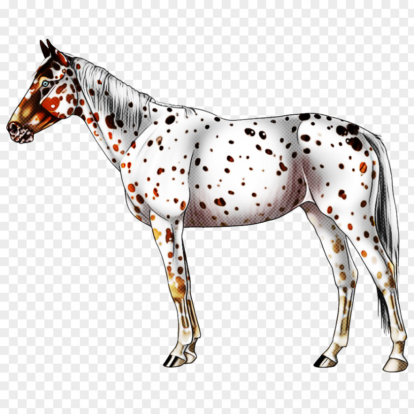 Figurine Toy Horse Animal Figure Mare Snout Stallion PNG