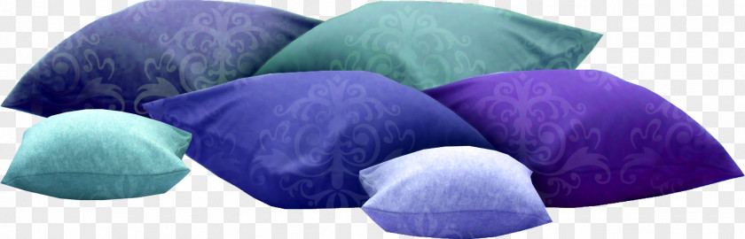 Pillow Cushion Dakimakura PNG