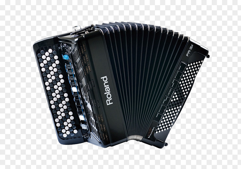 Accordion Diatonic Button Chromatic Piano Keyboard PNG