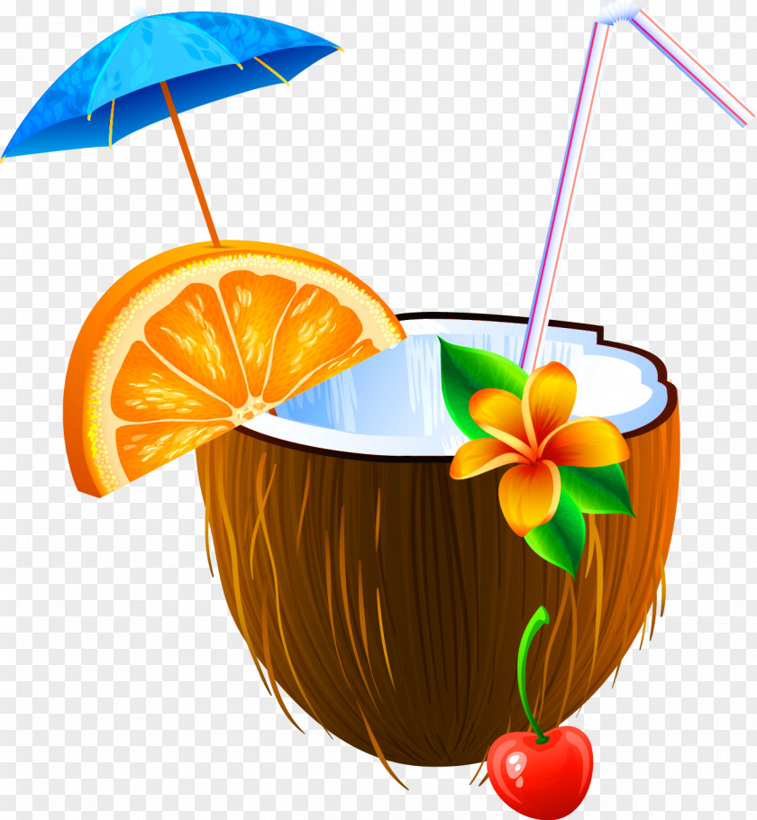 Coconut Milk Cocktail Juice Water PNG