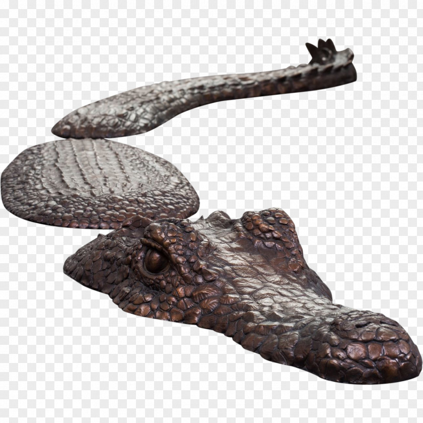 Crocodile Reptile Shoe Footwear PNG