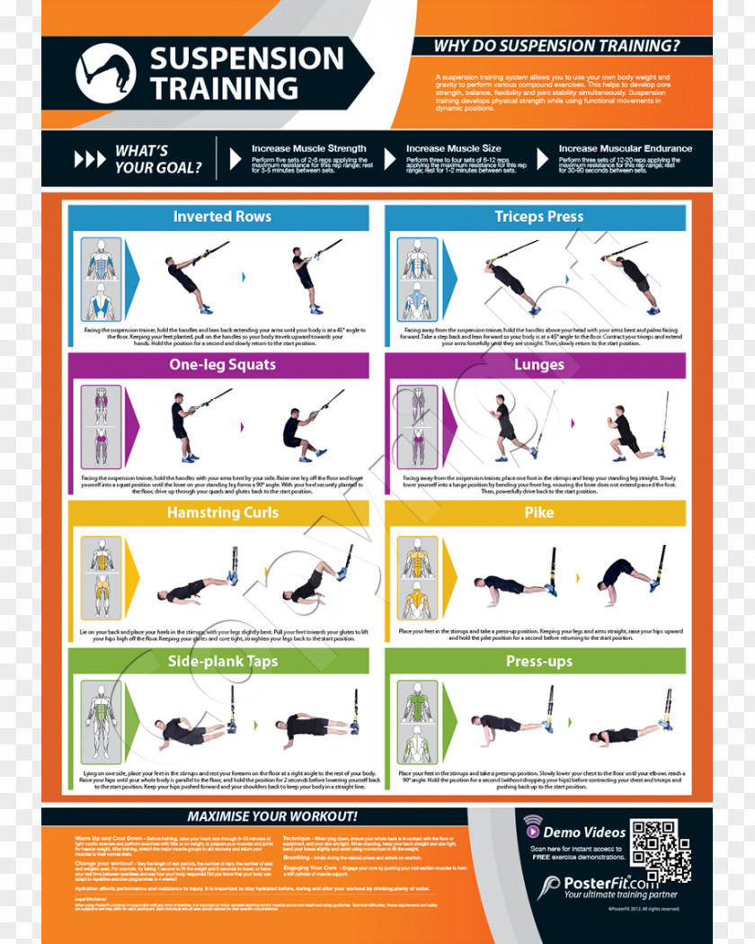 Gym Poster Exercise General Fitness Training Strength Functional Movement PNG
