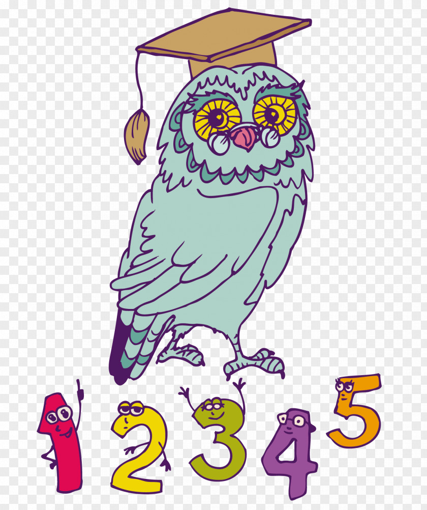 Owl Vector Material School PNG