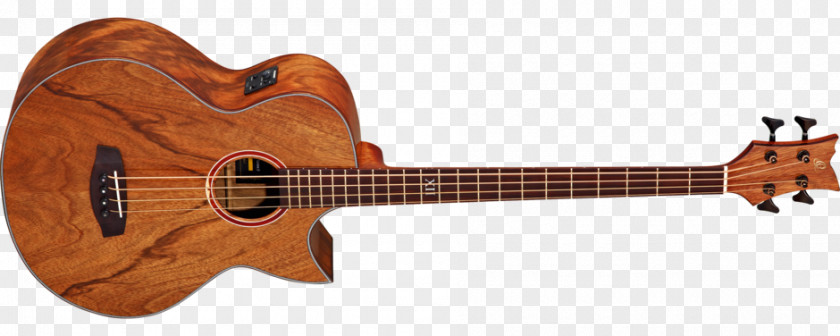 Acoustic Guitar Bass Ukulele Tiple Cuatro PNG