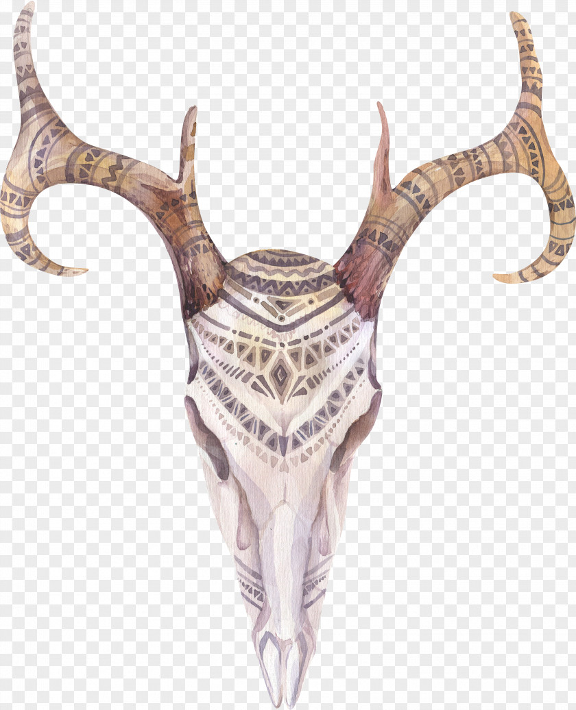 Antelope Cow's Skull: Red, White, And Blue Boho-chic Watercolor Painting Drawing PNG
