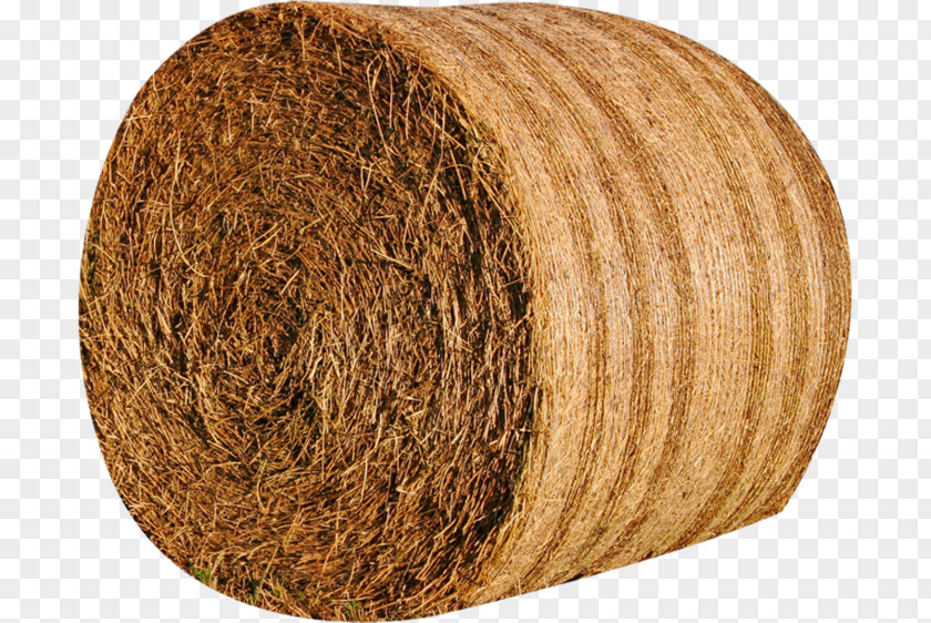 Beige Thread Flowvella Wool PNG