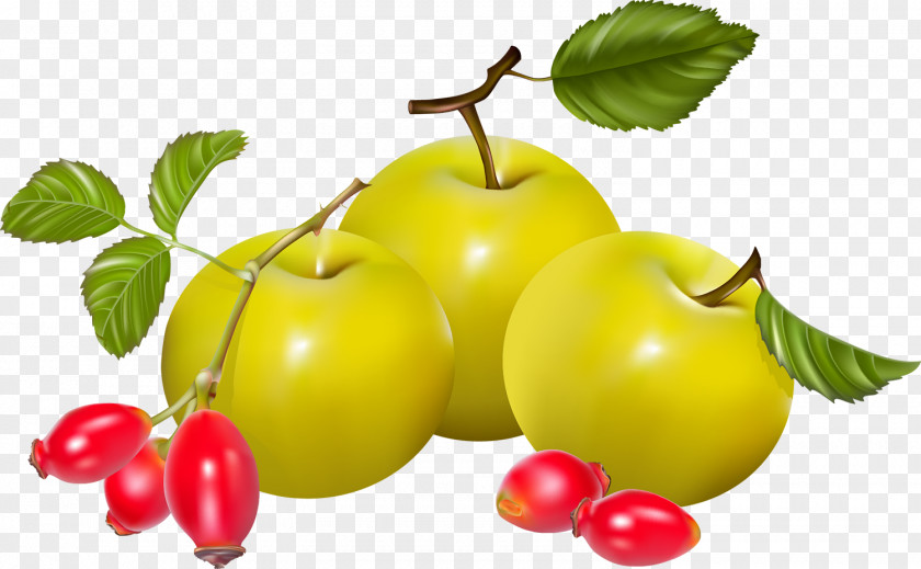 Berries Juice Pear Auglis Vegetable PNG