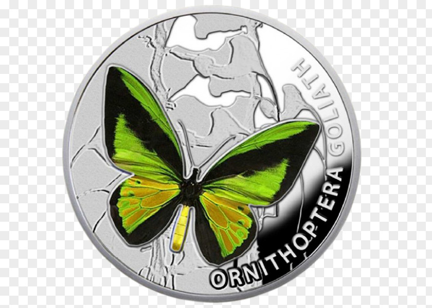 Butterfly Silver Coin Niue Dollar Australian One PNG