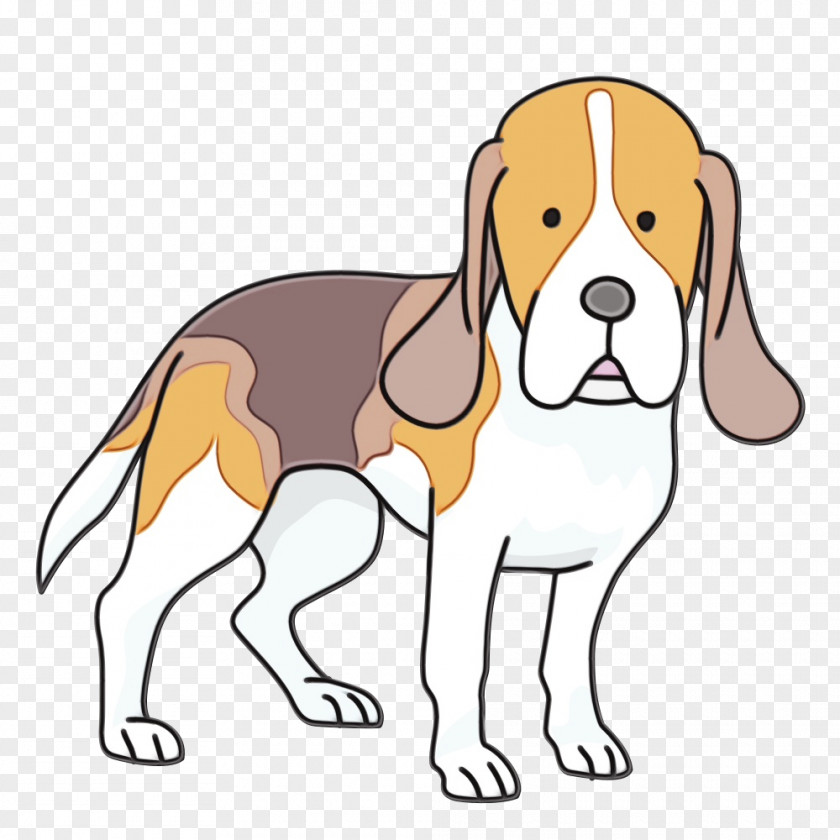 Companion Dog Schweizer Laufhund Golden Retriever Background PNG